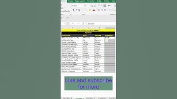How to Use Flash Fill in Excel | Master in Flash Fill #flashfill #excel