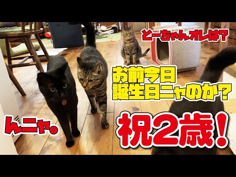 皆様のおかげで無事2歳の誕生日を迎えることができました