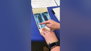 HWT Lower/Uppercase Cursive Letter X