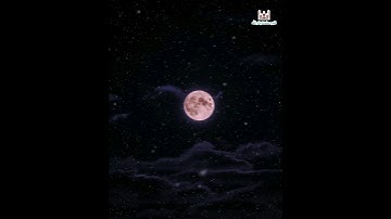وَأَنْ لَيْسَ لِلإِنسَانِ إِلَّا مَا سَعَى (القارئ أحمد خضر تلاوة خاشعة من سورة النجم)