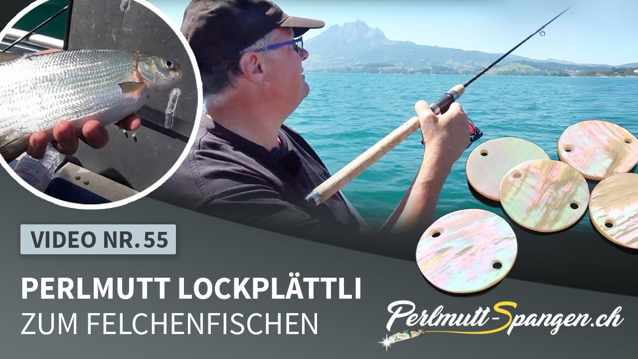 Perlmutt Lockplättli zum Felchenfischen
