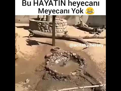 Bu hayatın heyecanı meyecanı yok maymunlar şhow