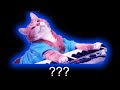 Piano cat sound variations in 60 seconds