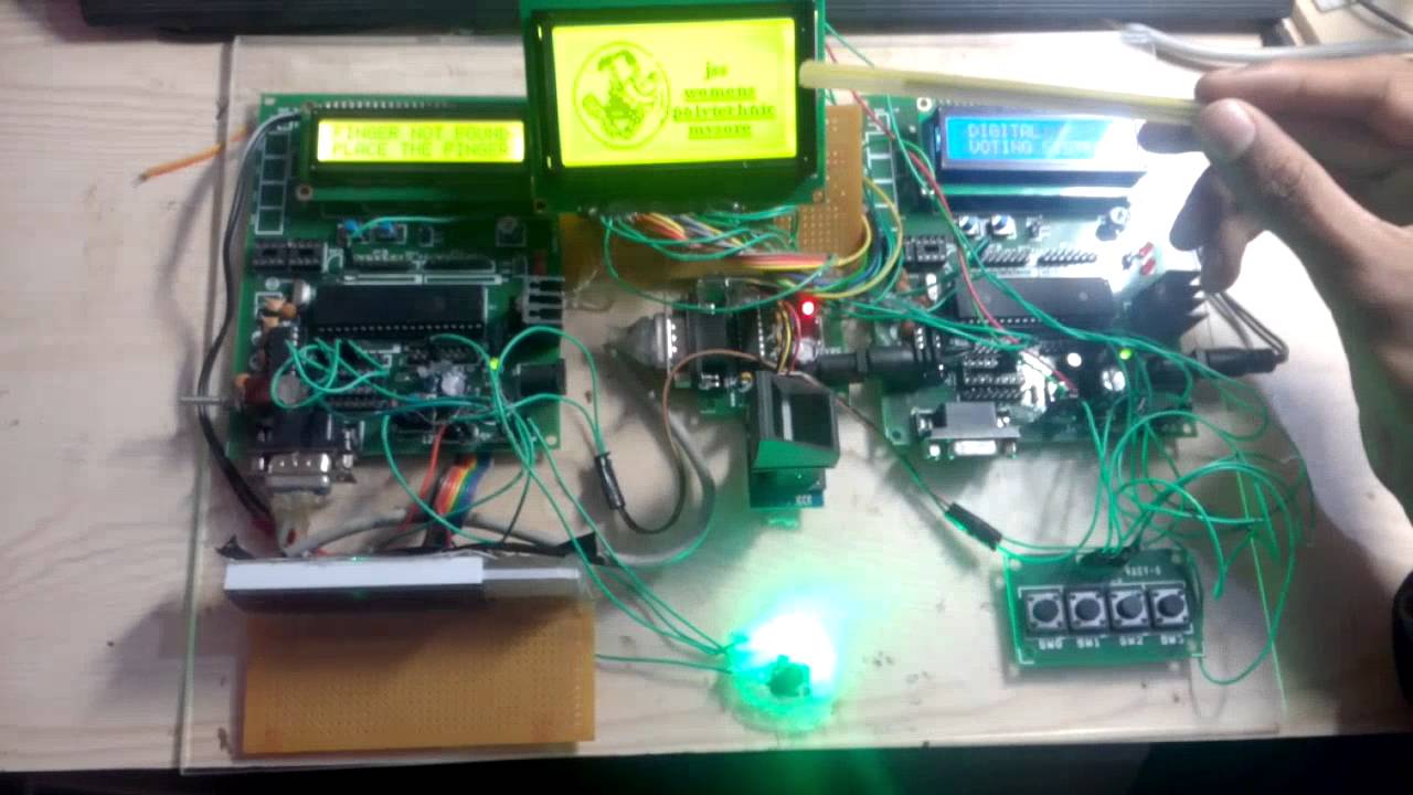 Biometric voting system