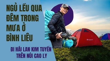 Ngủ lều qua đêm trong mưa để  đi tìm cây thuốc quý của người Sán Chỉ ở Bình Liêu