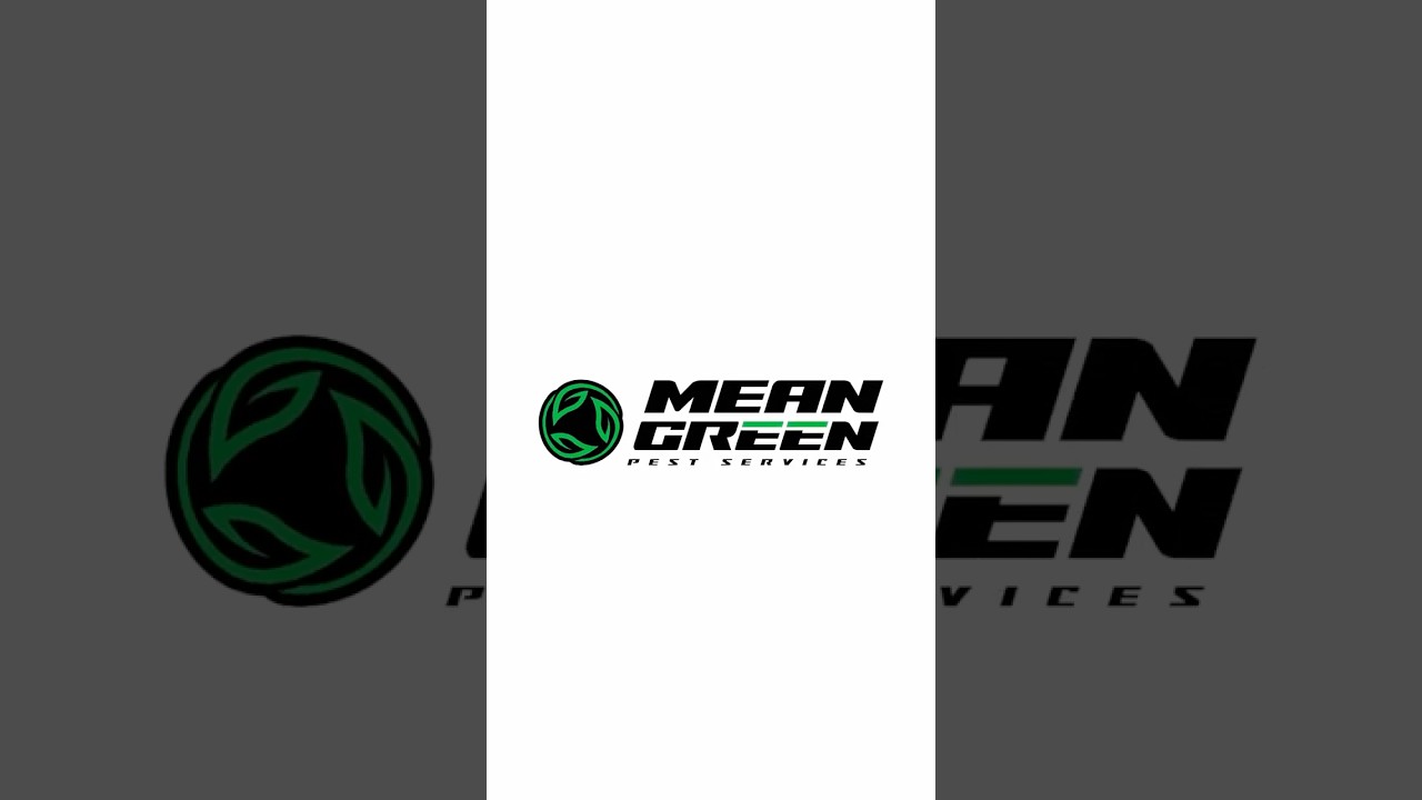 How We Kill Bed Bugs—From the Inside Out 🛏️🔥