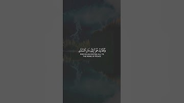 سورة يونس الآية(٢٥) بصوت القارئ #عبدالرحمن_مسعد