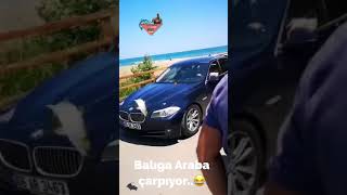 Balıga Araba Çarptı..