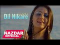 Nazdar DIL NIKARE