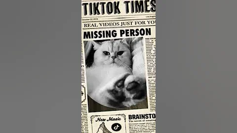 Video 7955891: british shorthair silver cat, britishshorthair cats catlover, britishshorthair cute catlovers