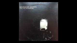 WALKENHORST BROTHERS ”The Invisible Man” - US 1977 private press [Original vinyl rip]
