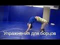 Упражнения для борцов (забегания и перевороты). freestyle wrestling training