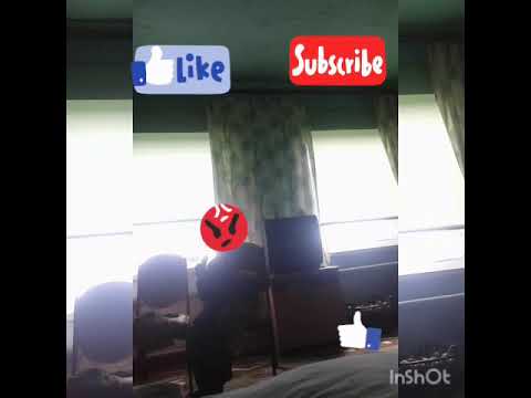 Печенька 2.0!!!