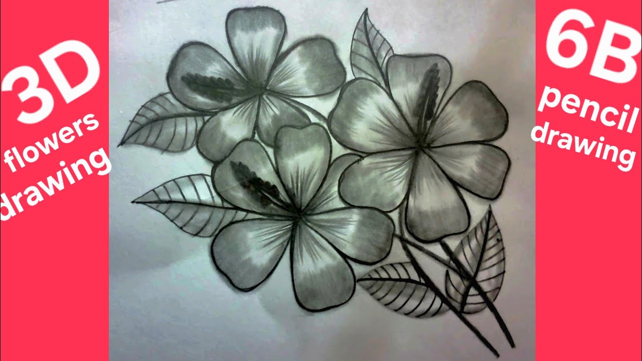 3D flowers drawing how to draw simple flowers step2