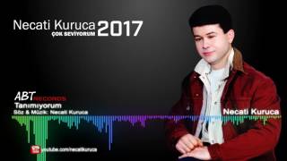 Necati Kuruca || Tanımıyorum 2017 (Albüm) Resimi