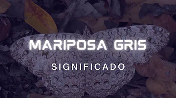 ¿Qué significa mariposa GRIS?