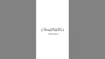 كروما شاشة بيضاء قرآن كريم 🌿تلاوة من سورة الأنبياء 🌿القارئ أحمد بن طالب 🌿