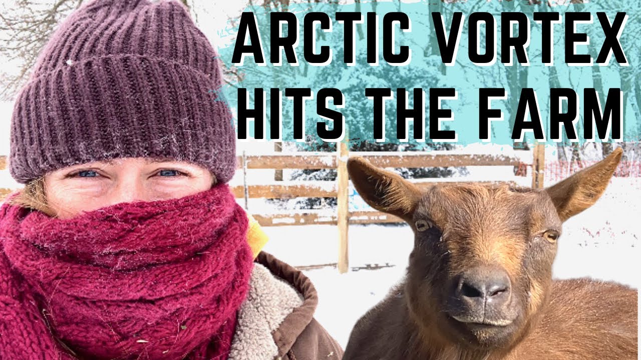 4 Things You Need To Do To Keep Livestock Warm During Winter Storms. 🐐🐎