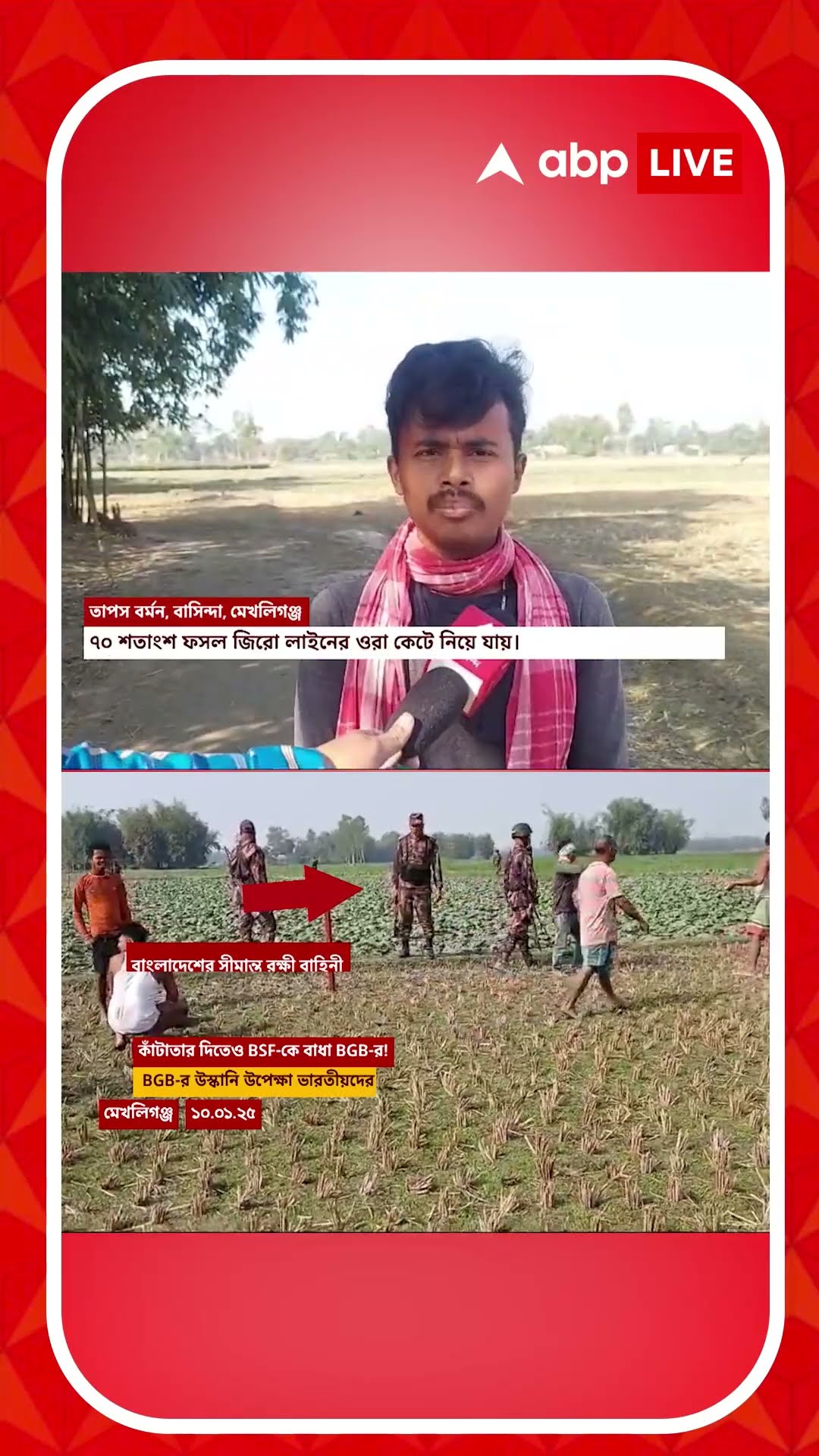 'সত্তর শতাংশ ফসল ওরা কেটে নিয়ে যায়', BGB -এর বিরুদ্ধে বিস্ফোরক অভিযোগ সীমান্তবর্তী মানুষের গ্রামের