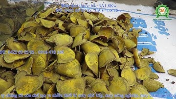 Máy thái thuốc Đông y, máy băm dễ lá cây làm thuốc bắc