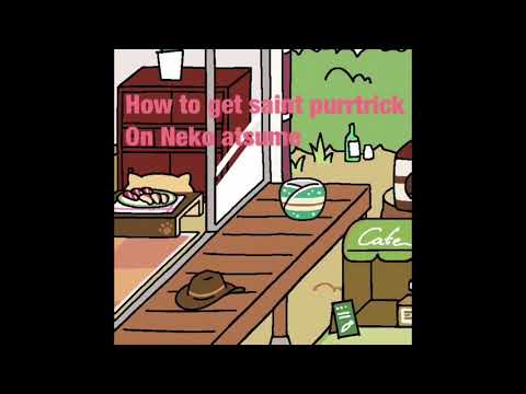 How to get Saint Purrtrick | Neko atsume