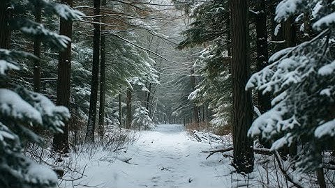 Tchaikovsky - Rococo Variations (Tatjana Vassiljeva)