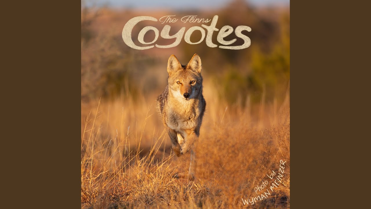 Watch Coyotes on YouTube Watch Coyotes on YouTube
