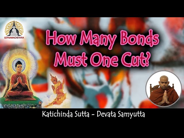 How many Bonds ⛓ must one Cut? | The Buddha's teaching on becoming the Crosser of the Flood!