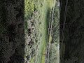 #campursari #coversong #dangdut super seener view mountain