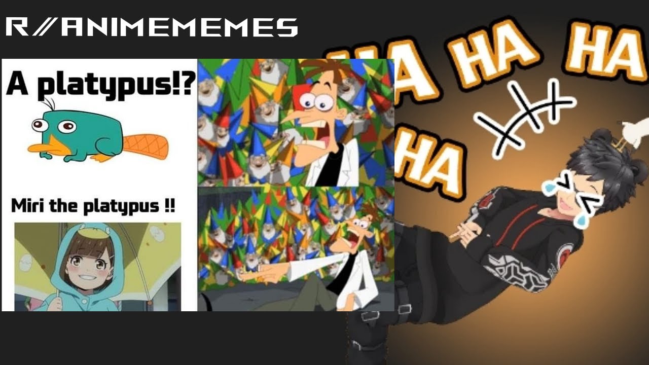 Man I can't do a Doofenshmirtz impression 〒▽〒 | Either way more anime memes incoming (￣y▽￣)╭ Ohohoho