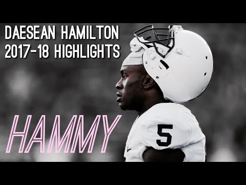 “Hammy” ᴴᴰ ||