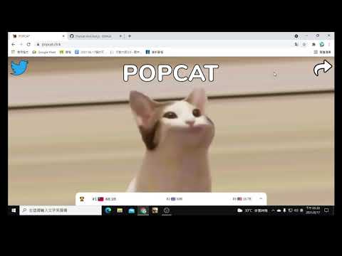 popcat外掛教學