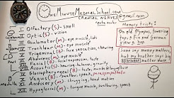 Anatomy: Basic and Clinical - YouTube