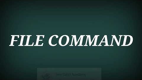 File Command| GW Basic Command of Computer in Urdu\Hindi 10 class| Isra Sabri Academy