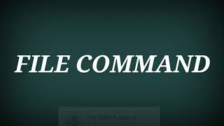 File Command| GW Basic Command of Computer in Urdu\Hindi 10 class| Isra Sabri Academy