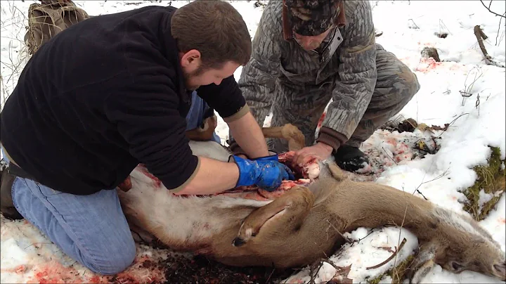 Kat Field Dressing First Deer