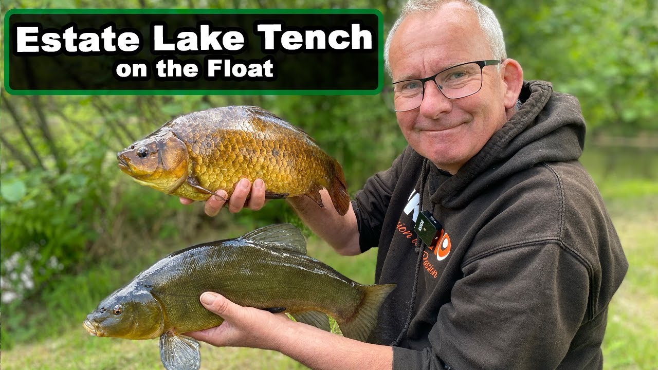 In-Session - Estate Lake Tench on the Float 