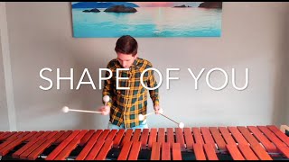Ed Sheeran - Shape Of You / Marimba Version Resimi