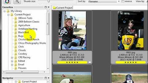 Photo Mechanic: Searching