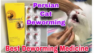 Persian Cat Deworming | How to Deworm Cats and Kittens | Best Deworming Medicine For Cats | Dewormer