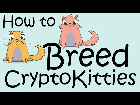 CryptoKitties How to Breed Your Kittens
