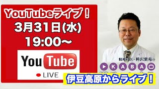 【2021.3.31】「樺チャンネル」ライブ！