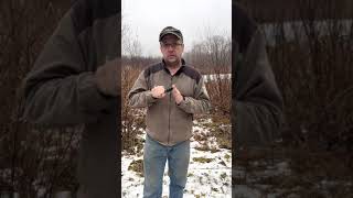 JPO Tutorial: Nutn' but Trouble Squirrel Coaxer