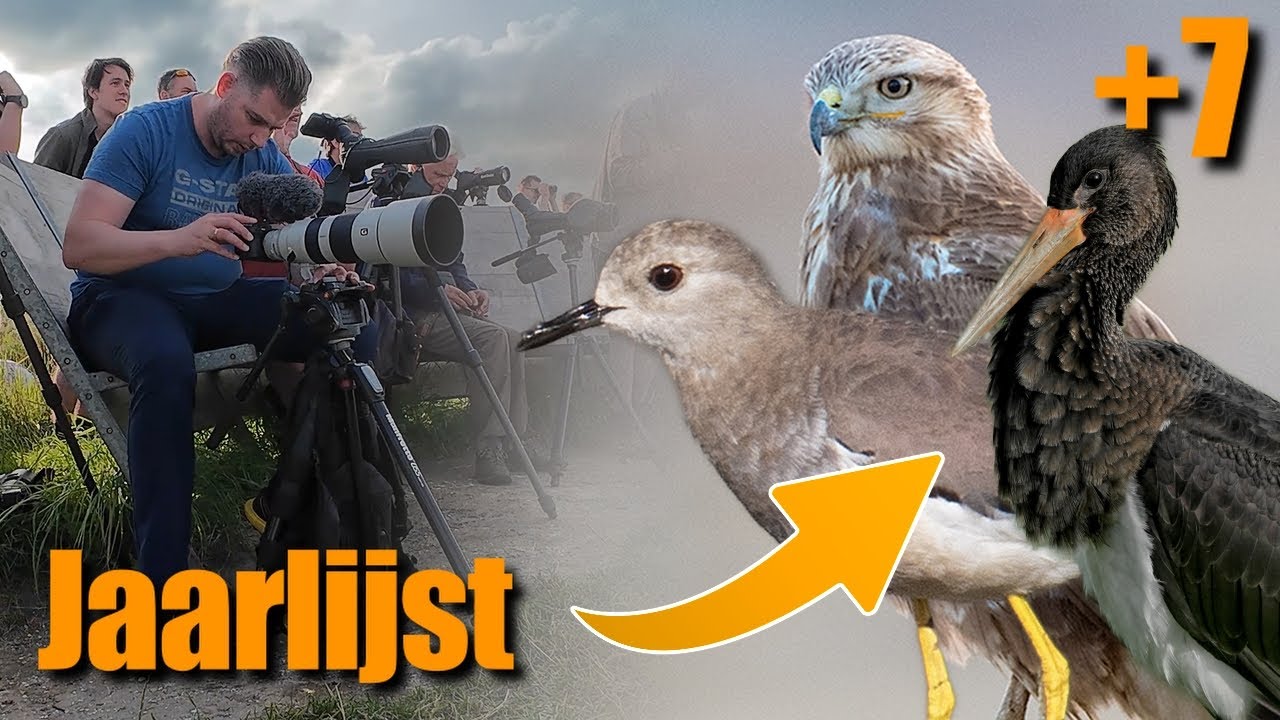 De grootste uitdaging in het Vogelskijken!