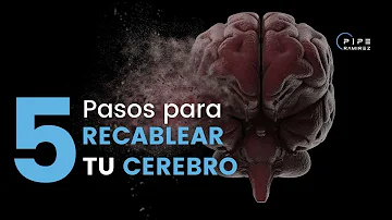 ¿Se puede recablear el cerebro?