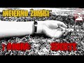 Novela de terror. Infierno zombi. 7 Ahora: Suerte.