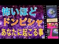 怖いほど😨ドンピシャ😆👍あなたに起こる事‼️これからあなたに起こる事です😊【字幕付】オラクルカードリーディング✨チャネリング✨3択です✨