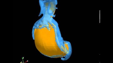 3D wake visualisation of model sunfish