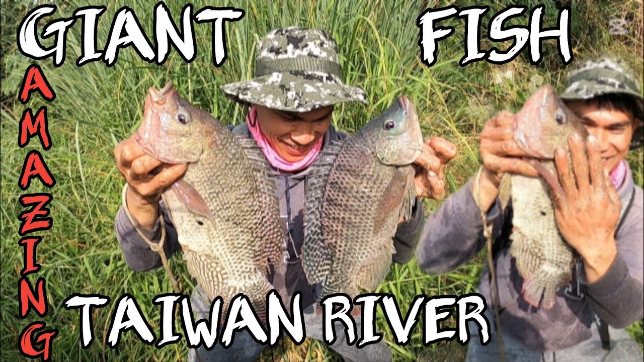 First Time Kung Makahuli Ng Ganito Kalaki Dito Sa Ilog Ng Taiwan Nakipaghatankan Sa Lambat@BHONTV-31