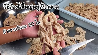 วิธีล้างไส้ใหญ่หมู ให้สะอาด ไม่มีกลิ่นคาว เทคนิคจากพ่อค้าทำขายวันละ 20 โล |เติมไขมันChannel